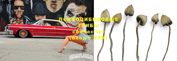 сатива Баксан