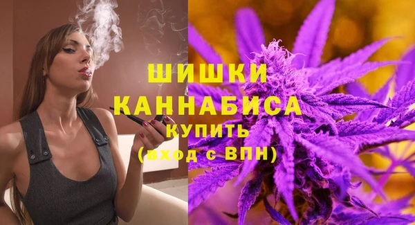 сатива Баксан
