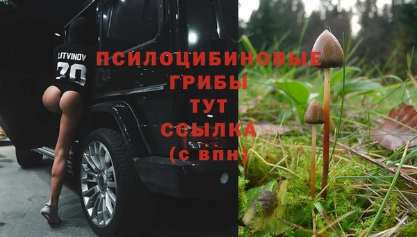 трава Заволжск