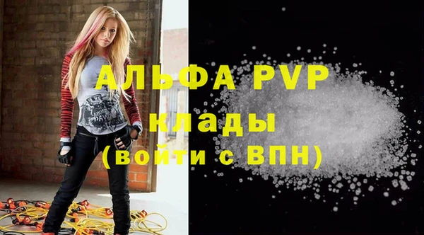 сатива Баксан