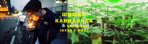 сатива Баксан